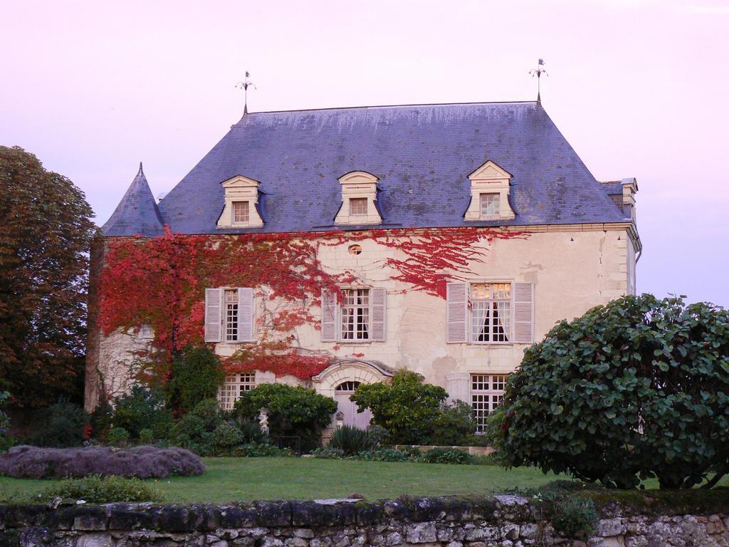 Gite Chateau De Chaintres Dampierre-sur-Loire Δωμάτιο φωτογραφία