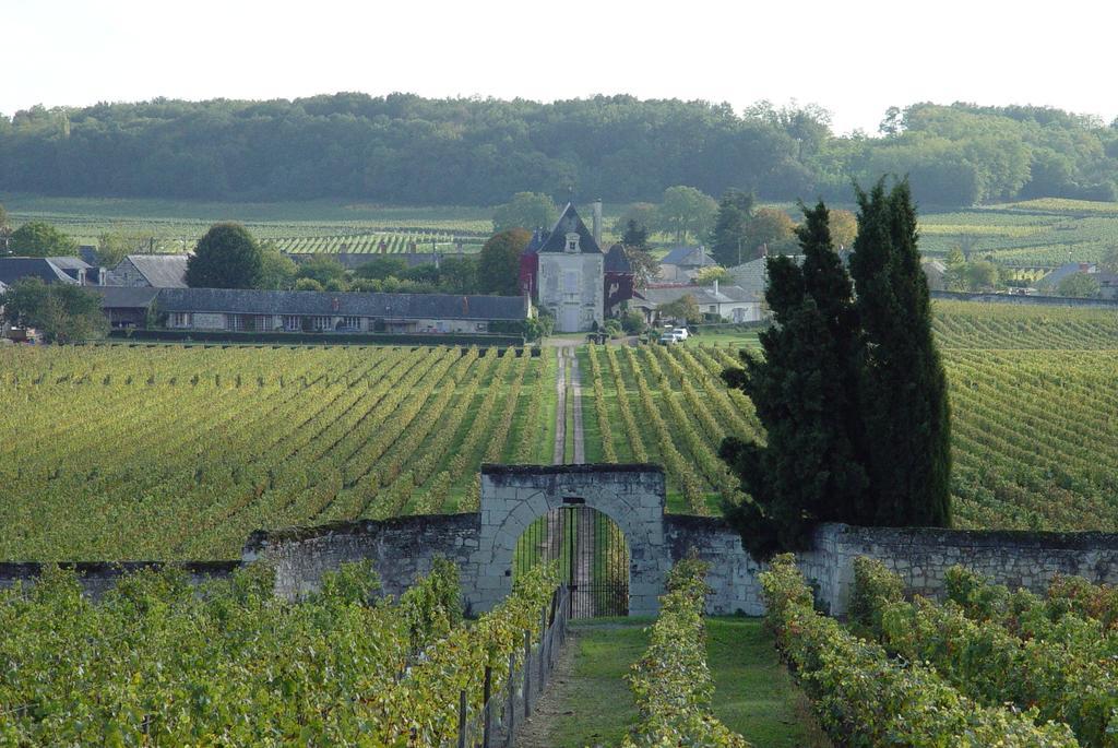 Gite Chateau De Chaintres Dampierre-sur-Loire Δωμάτιο φωτογραφία